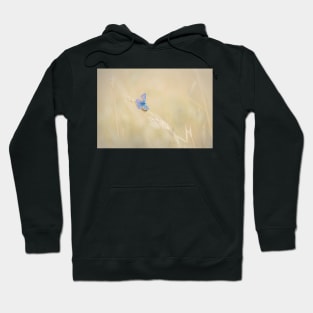 Common Blue Butterfly on Grass Hoodie